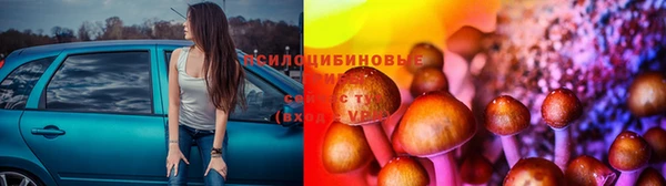 MESCALINE Богородск