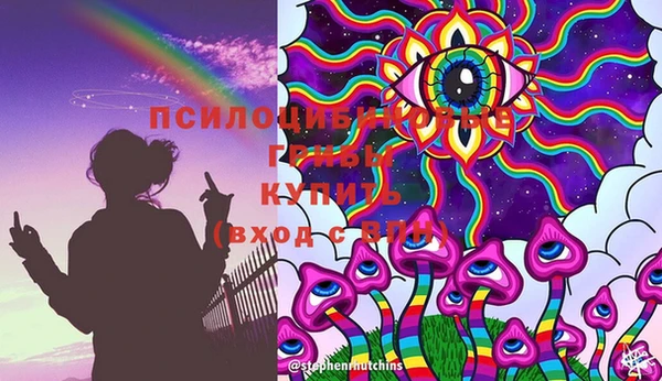 молекула духа Семикаракорск