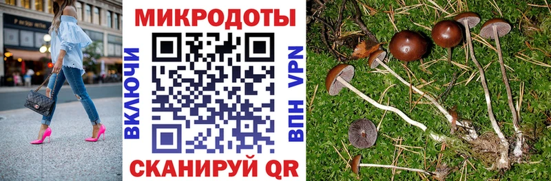 кракен как зайти  Бугуруслан  Галлюциногенные грибы Psilocybe 